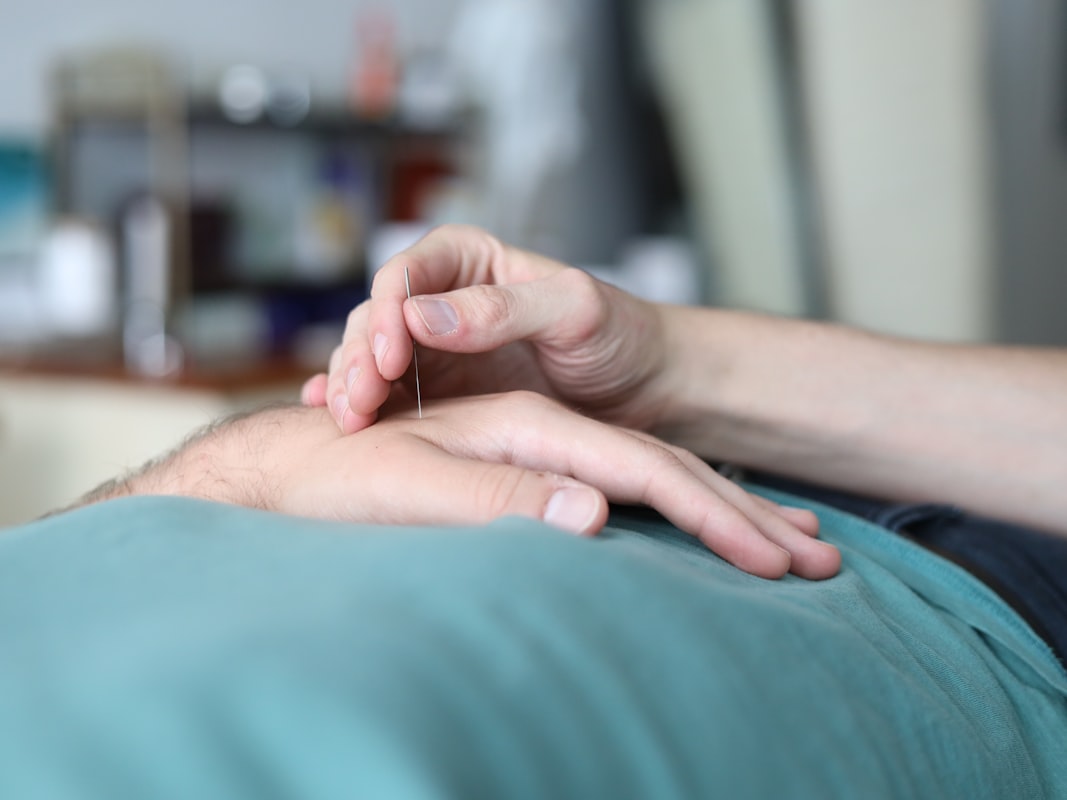 Naturopathic wellness principles and nature